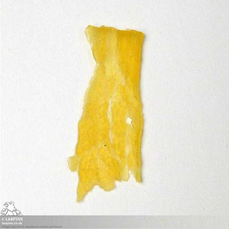 Briar Prosthetic - Bark Skin FX - Latex Free 3 Briar Prosthetic - Bark Skin FX - Latex Free