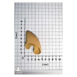 Elf Ears - Pair Of Latex Ears & Spirit Gum 7 Elf Ears - Pair Of Latex Ears & Spirit Gum -Larp Inn elf ears with adhesive latex 2