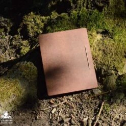 Eye Journal -Larp Inn eye journal 2