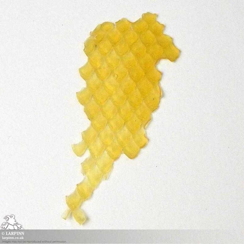 Naga Prosthetic - Snake Scale FX - Latex Free 5 Naga Prosthetic - Snake Scale FX - Latex Free - Image 3