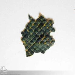 Naga Prosthetic - Snake Scale FX - Latex Free 13 Naga Prosthetic - Snake Scale FX - Latex Free -Larp Inn naga prosthetic snake scale fx latex free 4