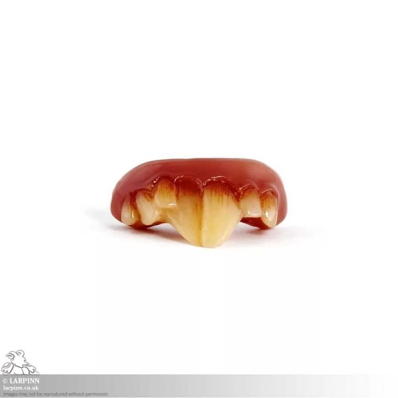 Rat Teeth 4 Rat Teeth - Image 2