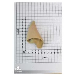 Werewolf Ears - Pair Of Latex Ears & Spirit Gum 7 Werewolf Ears - Pair Of Latex Ears & Spirit Gum -Larp Inn werewolf ears with adhesive 2