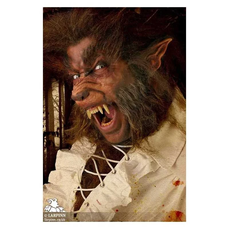 Werewolf Ears - Pair Of Latex Ears & Spirit Gum 3 Werewolf Ears - Pair Of Latex Ears & Spirit Gum