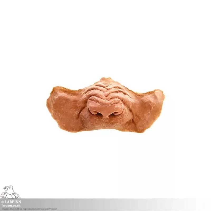 Werewolf Snout / Nose Prosthetic 4 Werewolf Snout / Nose Prosthetic - Image 2